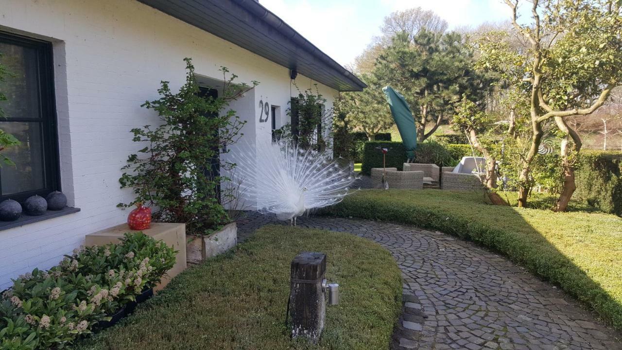 Ferienwohnung Kolb Issum ภายนอก รูปภาพ